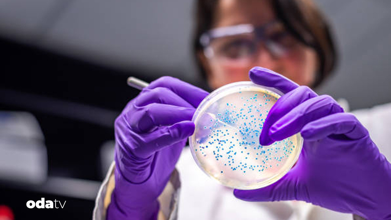 abdde 10 eyalette salmonella alarmi 7 kisi hastanelik ZuE1FDbC