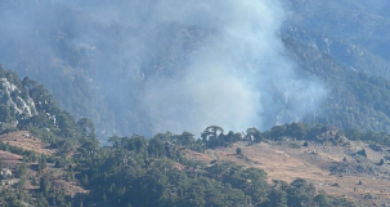 koycegizde orman yangini q7tTTeAh