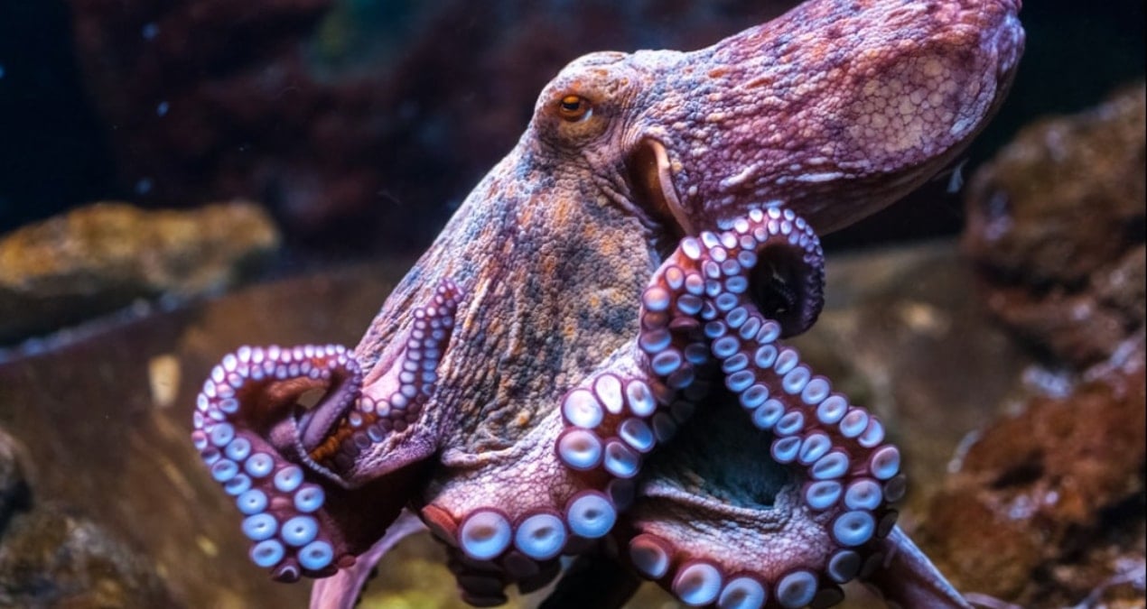 sandigimizdan daha planli calisiyor her kol kendi gorevini biliyor xcauGgxk