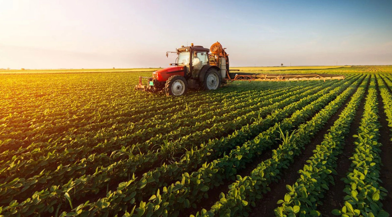 tarim sektorunde kotu haber 5wjIRad7