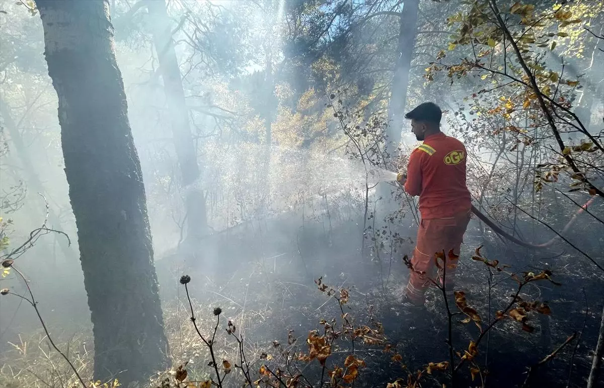 sarikamista orman yangini kontrol altina alindi niqQm3QR