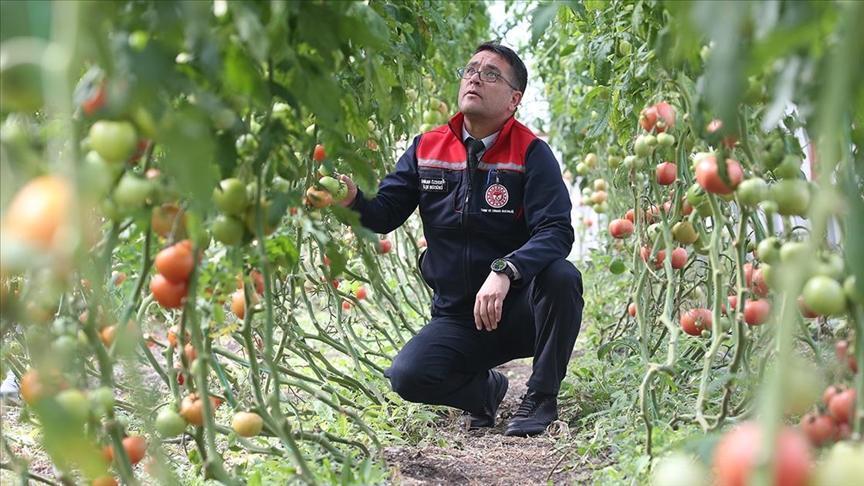 ziraat muhendislerinin olusturdugu sera vatandaslara ilham oldu l7UJ5Rxr