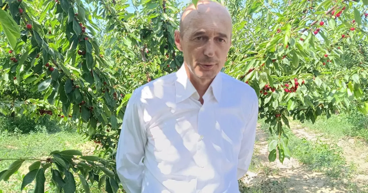 enezde kiraz bahcelerine res koyluleri ayaga kaldirdi XqGZjgz3.webp