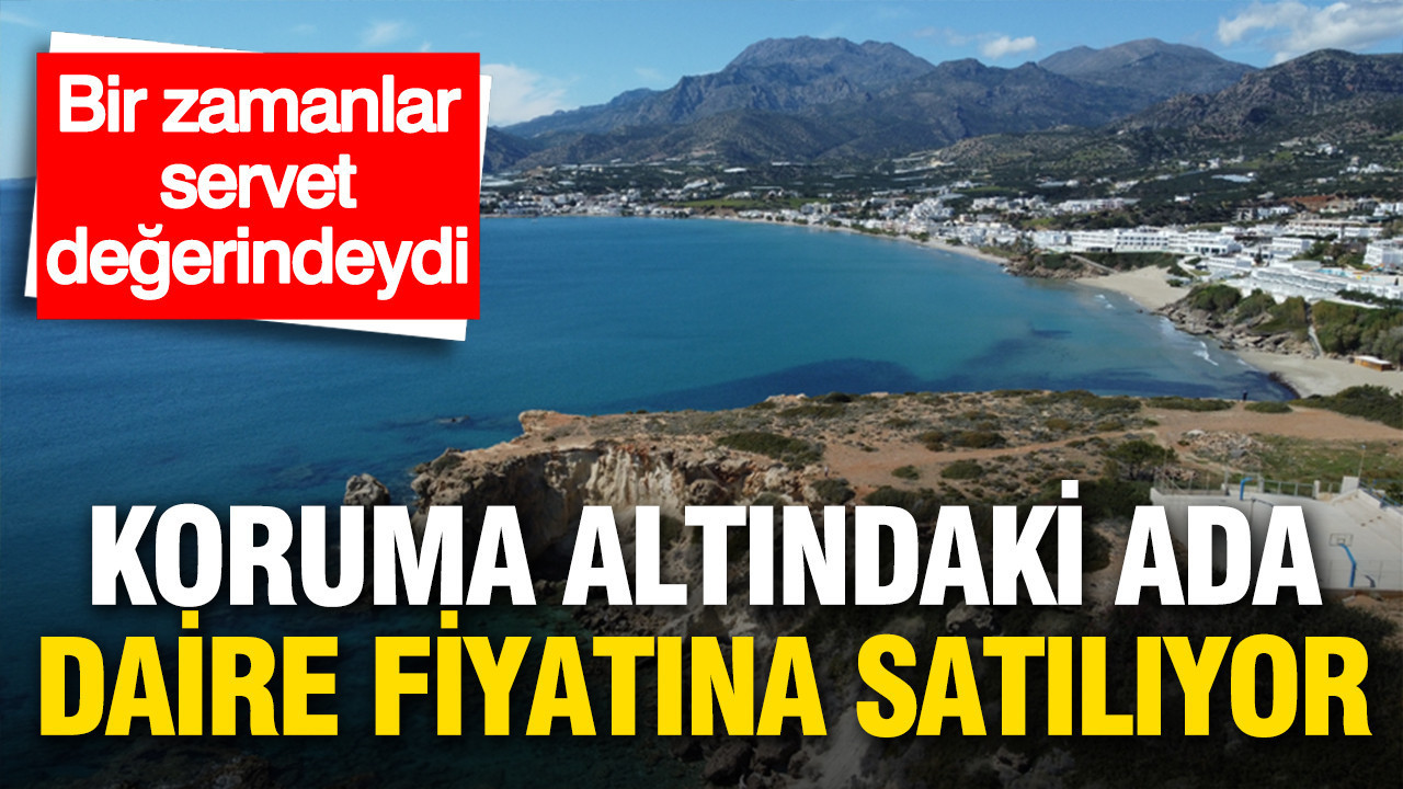 Koruma Altındaki Ada, Daire Fiyatına Satışa Çıkıyor: Makri Adası Yeni Sahibine Kavuşuyor