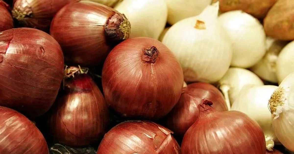 Kuru soganda gumruk gecici yuzde 5e indirildi lPS9ZwHY